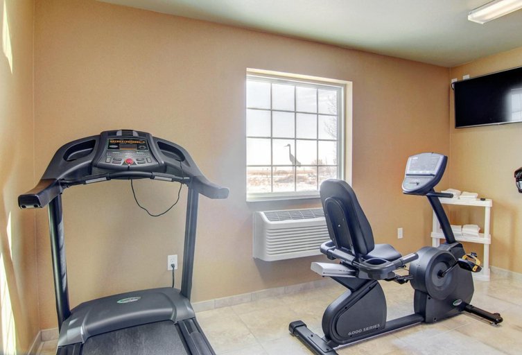 Others 5, Cobblestone Inn & Suites - Harvey, Wells