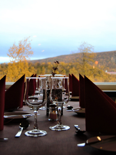 Food & Drinks 5, Hotel Utsjoki, Lapland