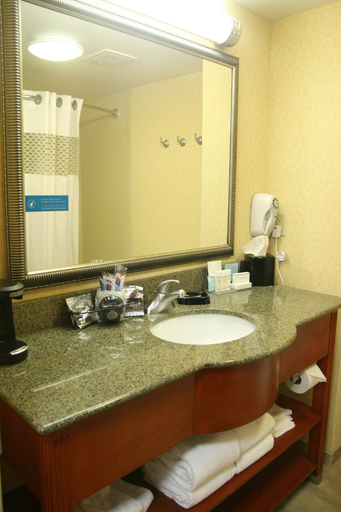 Bathroom 4, Hampton Inn & Suites Lino Lakes, Anoka