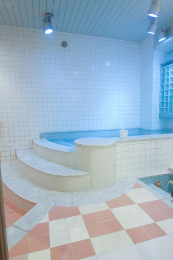 Bathroom 4, Capsule inn Osaka - Caters to Men, Osaka