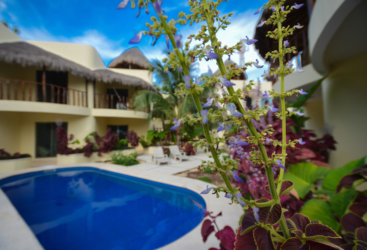 Sport & Beauty 5, Villas Akalan, Cozumel