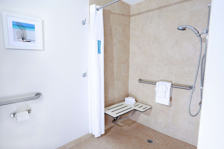 Bathroom 4, Hampton Inn & Suites Tampa-Wesley Chapel, Pasco