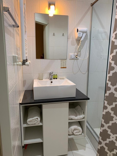 Bathroom 4, green classic, Tbilisi