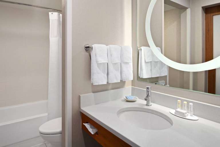 Bathroom 4, SpringHill Suites Flagstaff, Coconino