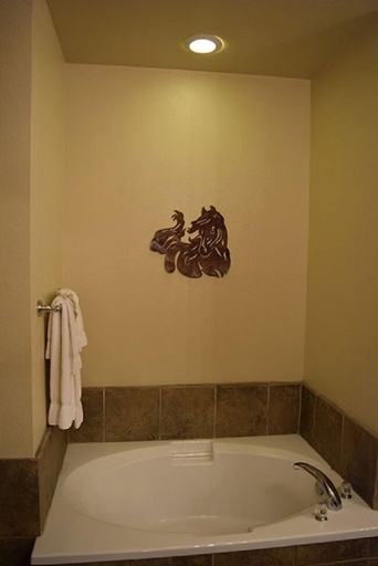 Bathroom 4, Flying L Ranch Resort, Bandera