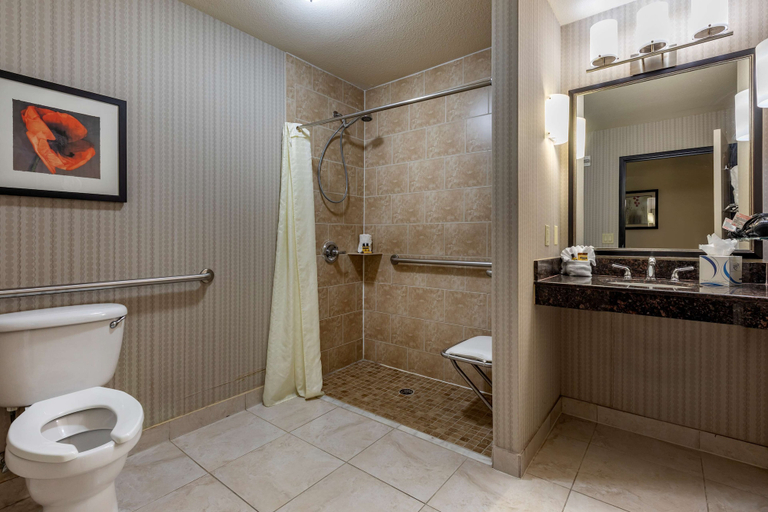 Bathroom 4, Best Western Plus DFW Airport West Euless, Tarrant