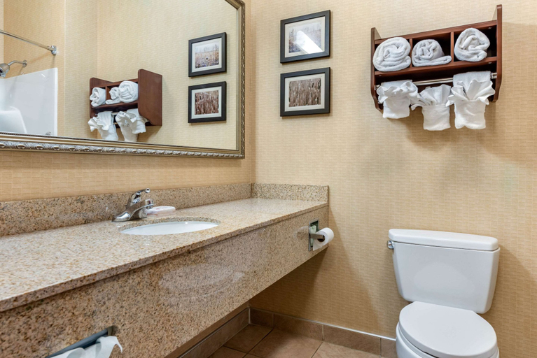 Bathroom 4, Comfort Suites Elkhart South, Elkhart