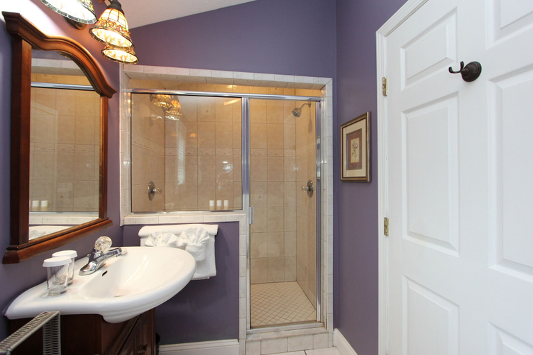 Bathroom 5, Bayfront Westcott House St Augustine B&B, Saint Johns