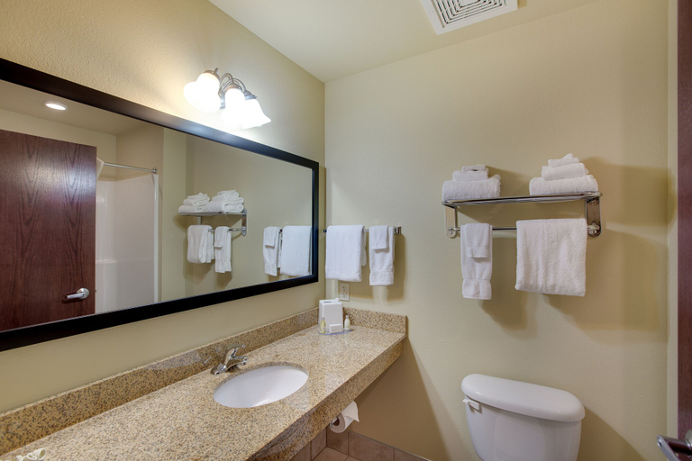 Bathroom 4, AmericInn by Wyndham Oshkosh, Winnebago