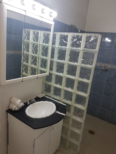 Bathroom 4, Steinhaus Emilio Castelar, Mexico City
