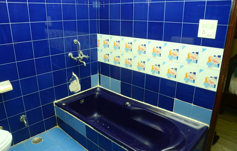 Bathroom 3, Hotel Radoli House-Heritage Hotel, Jaipur