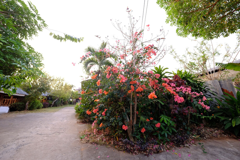 Others 4, Banputawan Guesthouse, Khun Yuam