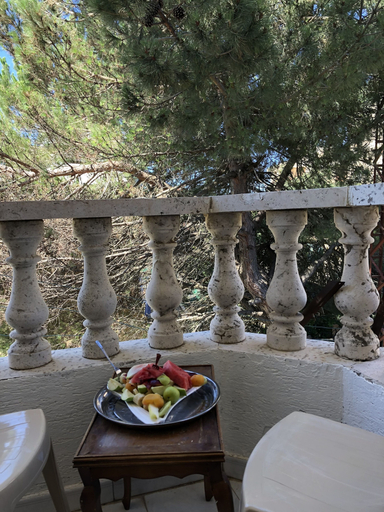 Others 5, Wonderful Apartment, Aley