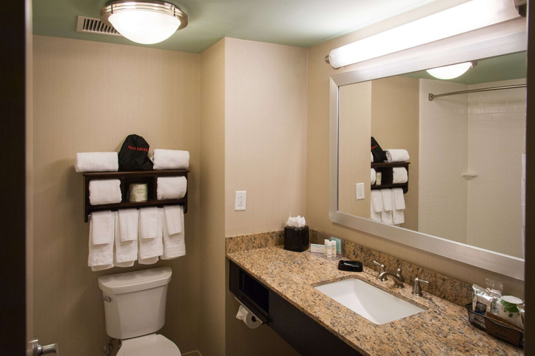 Bathroom 4, Hampton Inn & Suites Gulfport I-10, Harrison