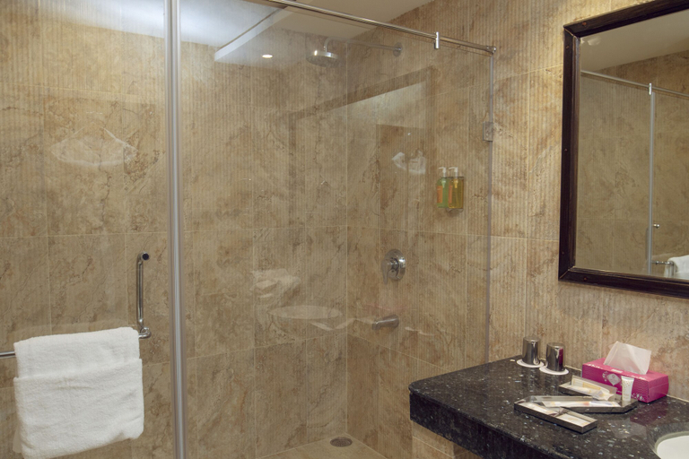 Bathroom 4, Zone by The Park Jammu, Jammu