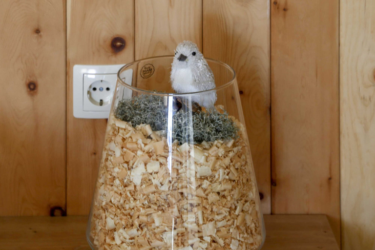 Food & Drinks 4, Studio 1111 With Sauna, Dravograd