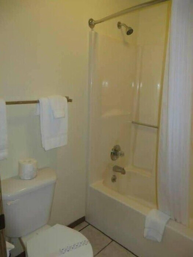 Bathroom 3, Honeysuckle Inn - Mountain View, Howell