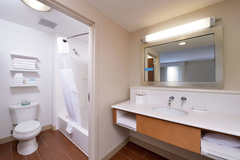 Bathroom 4, Hampton Inn & Suites by Hilton Lonoke, Lonoke