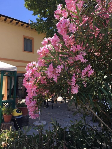 Exterior & Views 2, Hotel il Malandrone, Livorno