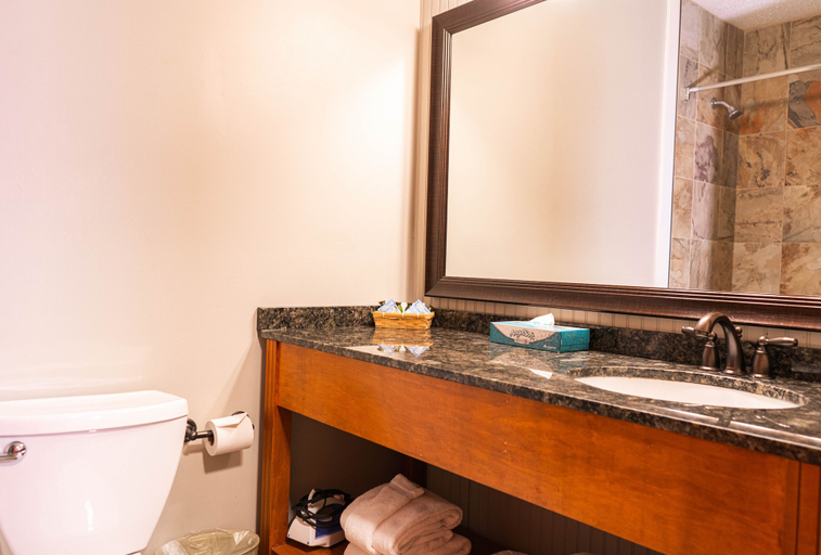 Bathroom 4, The Black Bear Lodge at Stratton Mountain Resort, Windham