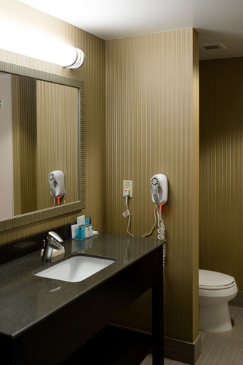 Bathroom 4, Hampton Inn Oxford/Conference Center, Lafayette