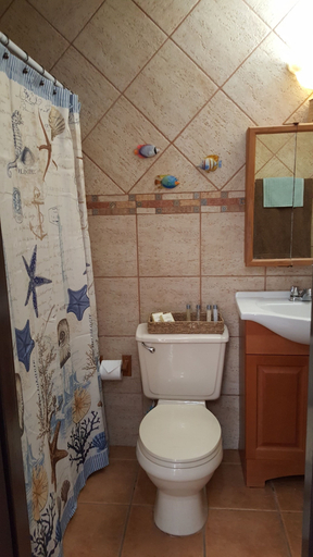 Bathroom 3, Condominium Playa Azul 1