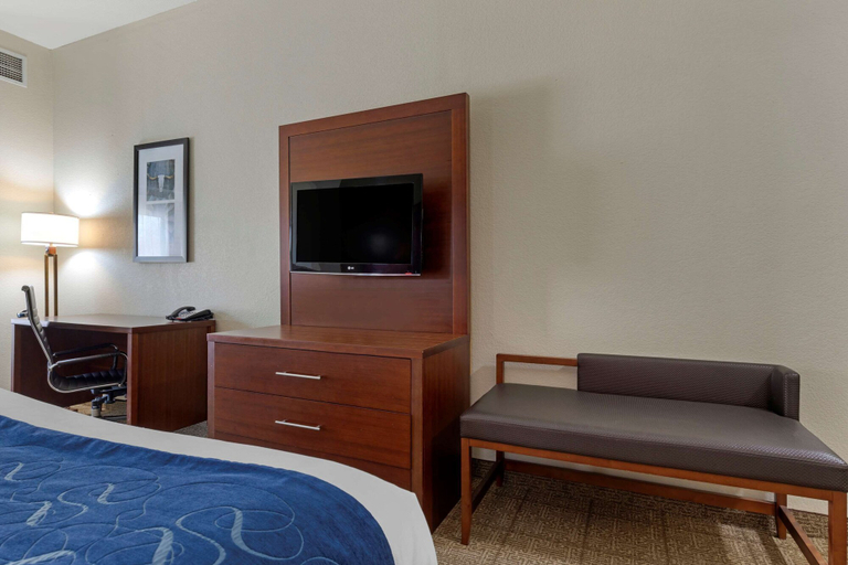 Bedroom 2, Comfort Suites Gainesville, Cooke