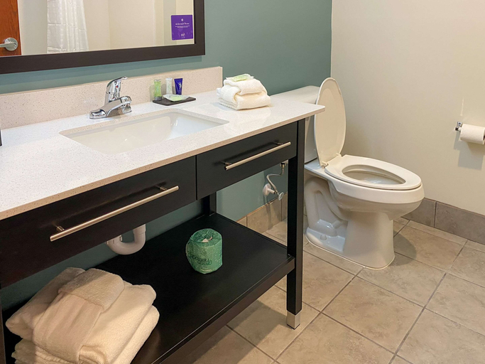 Bathroom 4, Sleep Inn & Suites - Coliseum Area, Guilford