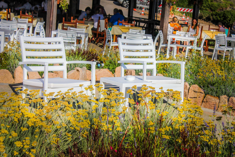 Food & Drinks 5, Hotel Costa Paradiso, Olbia-Tempio
