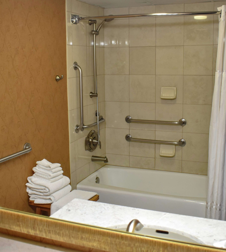 Bathroom 5, DoubleTree by Hilton Asheville - Biltmore, Buncombe