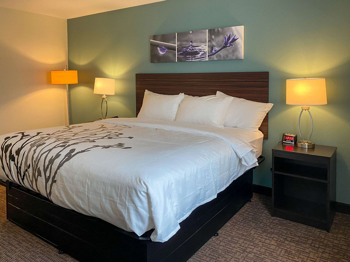 Bedroom 3, Sleep Inn & Suites - Coliseum Area, Guilford