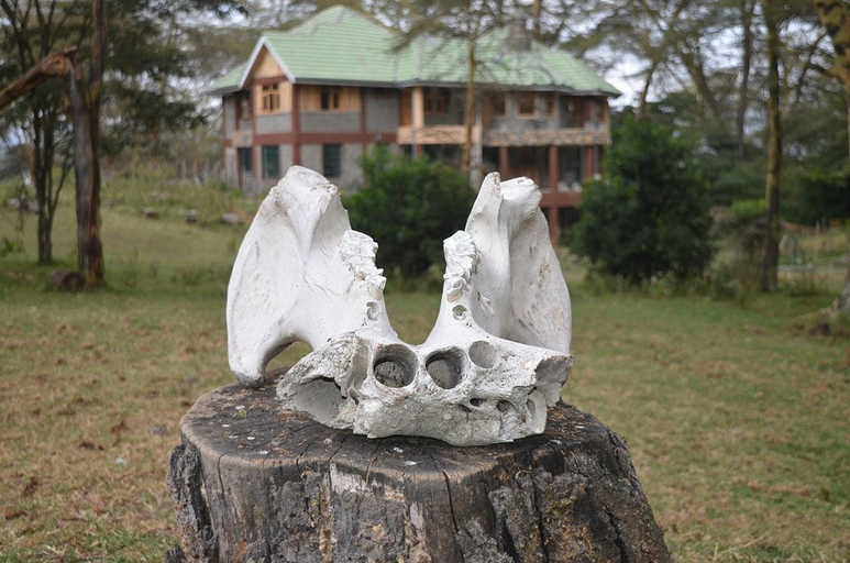Others 5, Oleitiko Cottages, Naivasha