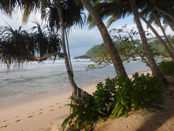 Others 5, Paradise Beach Club, Weligama