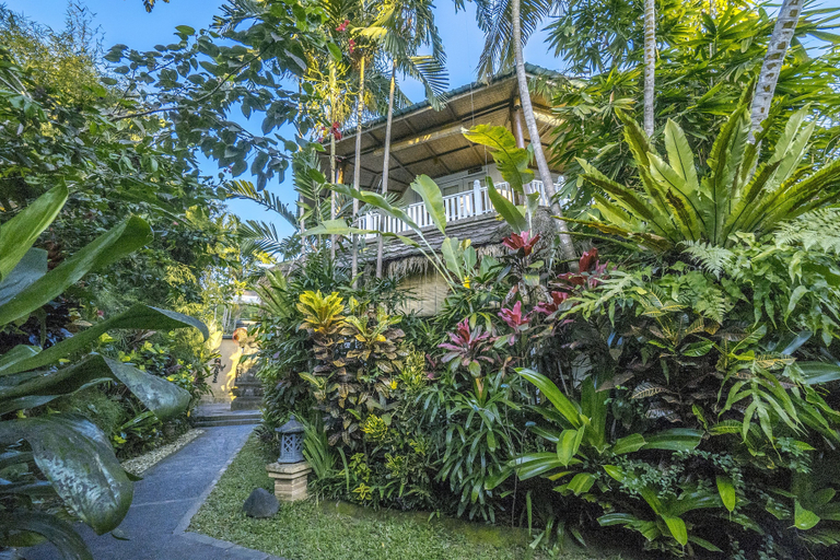 Exterior & Views 2, Gajah Biru Bungalows, Gianyar