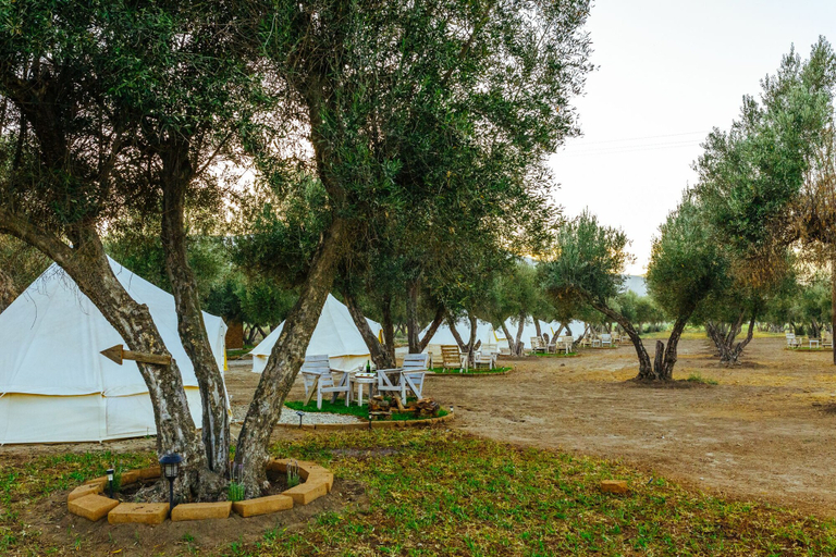 Others 5, Guadalupe Valle Glamping, Ensenada