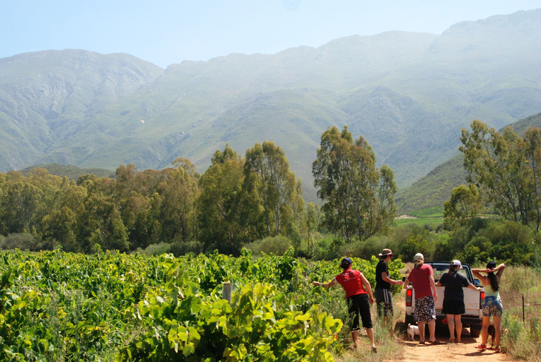 Others 5, Die Ou Huis, Cape Winelands