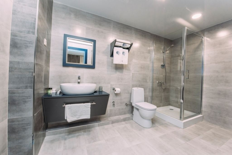 Bathroom 5, Hotel Sapphire Bakuriani, Borjomi