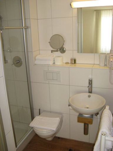 Bathroom, Hotel Gasthof Goldener Adler, Freudenstadt