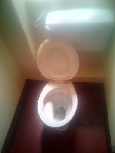 Bathroom, Paresia Hotel, Nyeri Town