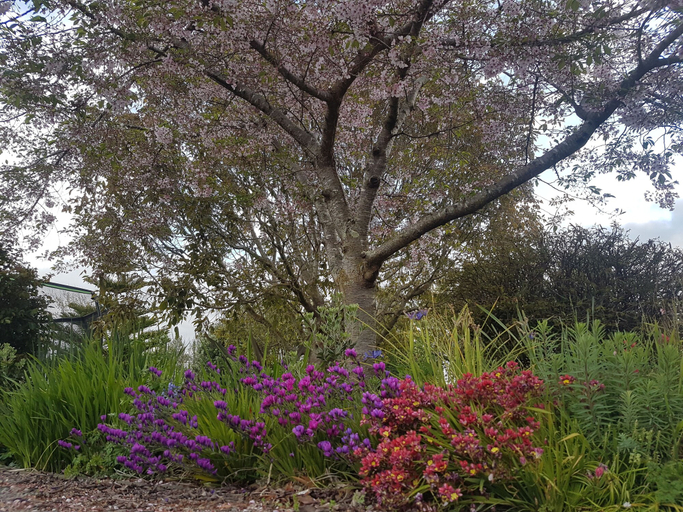 Others 4, Lancewood Lodge, Rangitikei