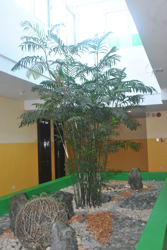 Exterior & Views 2, Go Hotels Tacloban, Tacloban City