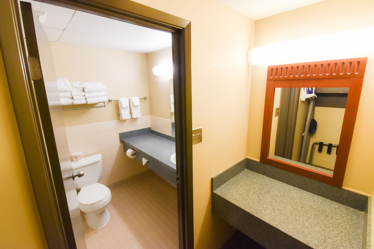Bathroom 5, Canad Inns Destination Centre Garden City, Division No. 11