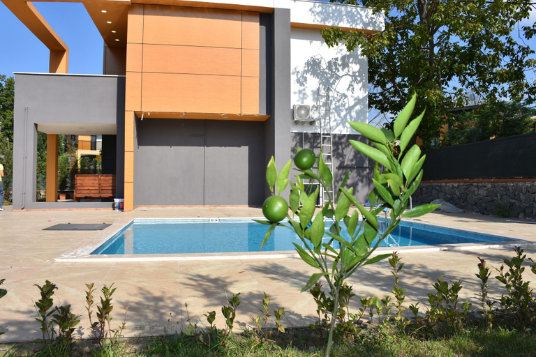 Pool, Yakut Villa, Izmit