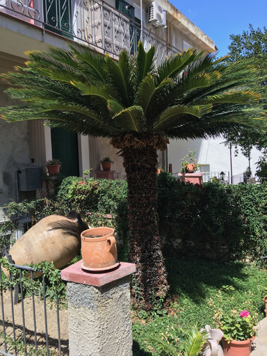 Exterior & Views, B&B Arte&Mare, Messina