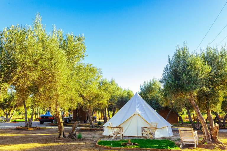 Exterior & Views 2, Guadalupe Valle Glamping, Ensenada