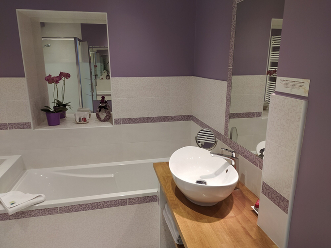 Bathroom 5, Logis Hotel Restaurant Le Cheval Blanc Blere, Indre-et-Loire