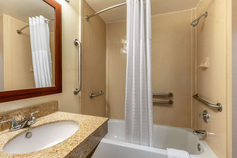 Bathroom 4, Comfort Inn & Suites Nashville Franklin Cool Springs, Williamson