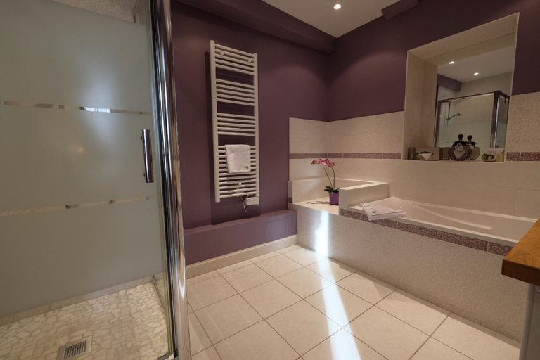 Bathroom 5, Logis Hotel Restaurant Le Cheval Blanc Blere, Indre-et-Loire