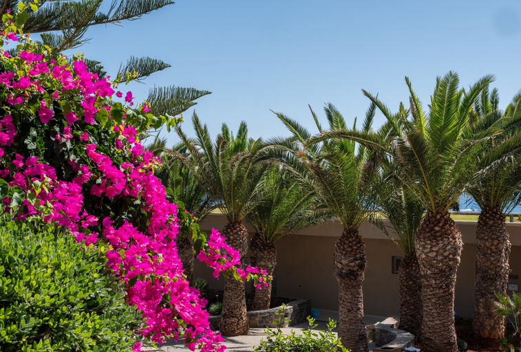 Exterior & Views 2, Nana Golden Beach - All Inclusive, Crete
