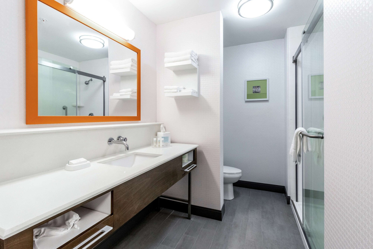 Bathroom 4, Hampton Inn Locust Grove, Henry